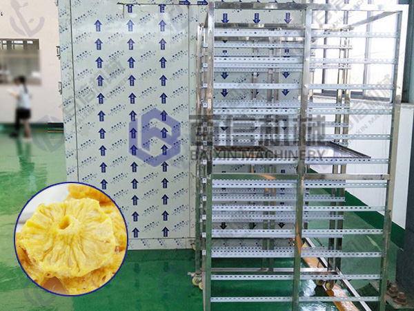 菠蘿烘干機(jī)